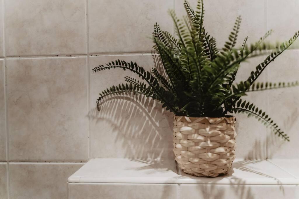 Cosy And Romantic Forest House Met Sauna Op De Veluwe Putten Ngoại thất bức ảnh